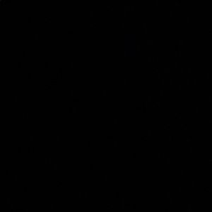 Meet your Posher, Malik